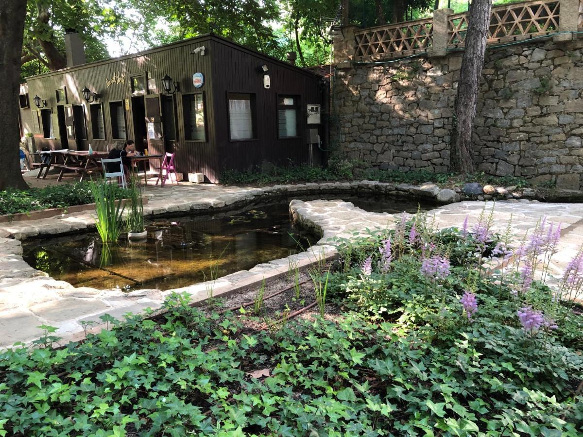 Escloper B&B Sant Juliá de Vilatorta Zewnętrze zdjęcie